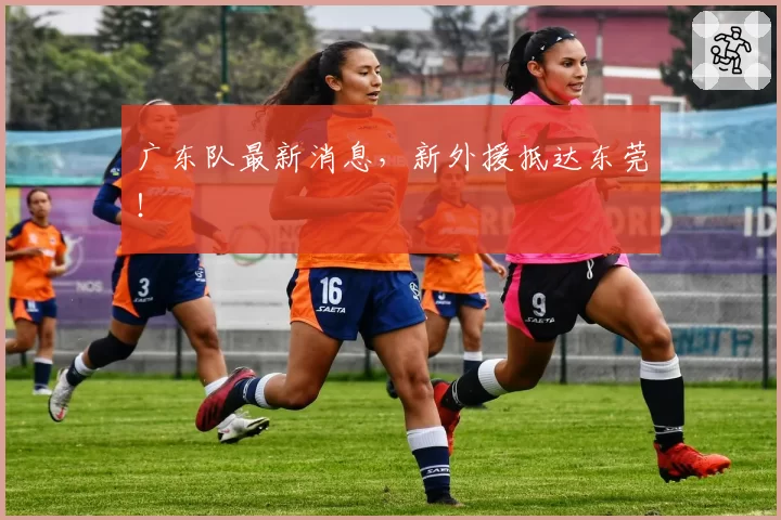 广东队最新消息,新外援抵达东莞!